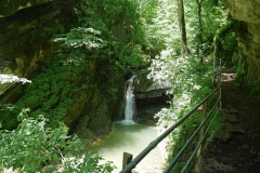 Twannbachschlucht #3